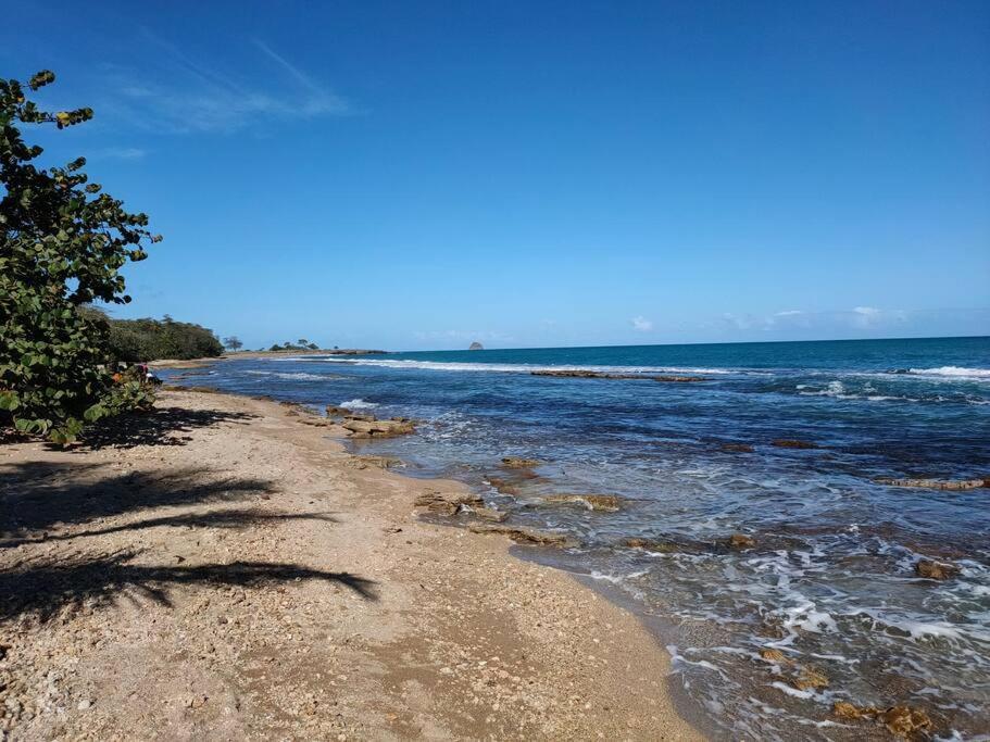 Haut De Villa Avec Vue Sur La Mer 圣罗斯 外观 照片