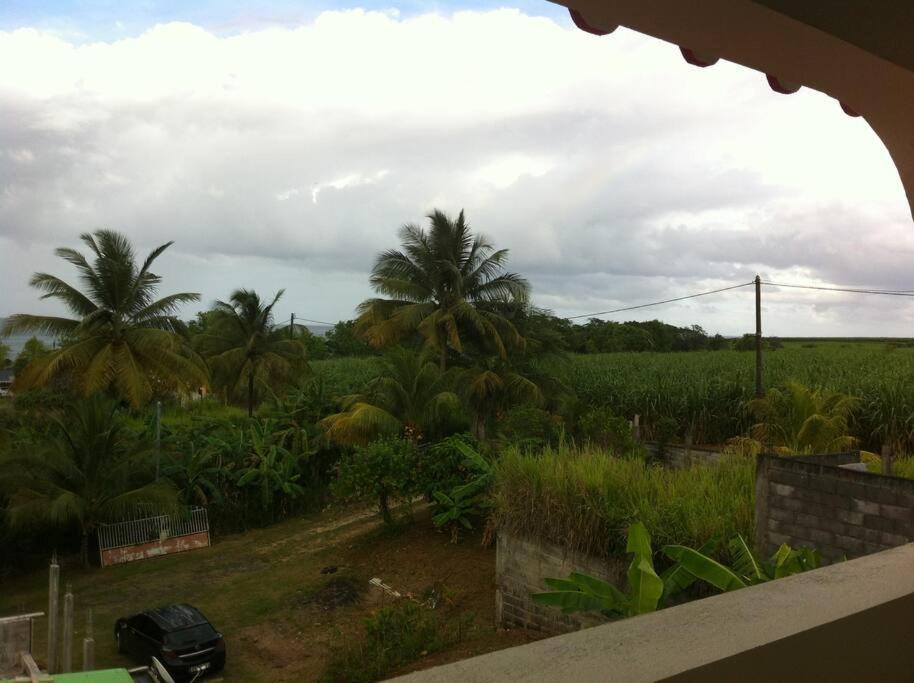 Haut De Villa Avec Vue Sur La Mer 圣罗斯 外观 照片